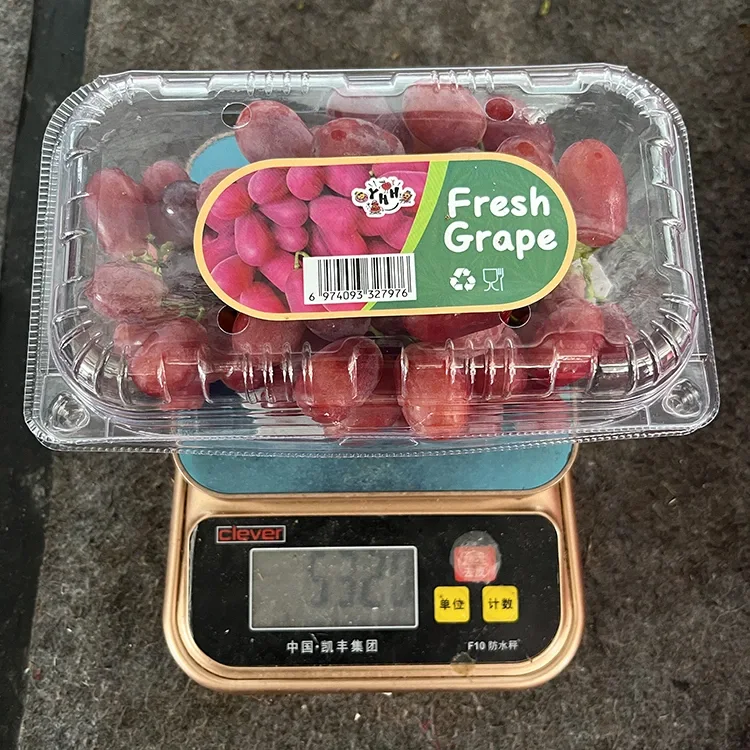 Export minőségű friss bíbor mag nélküli szőlő