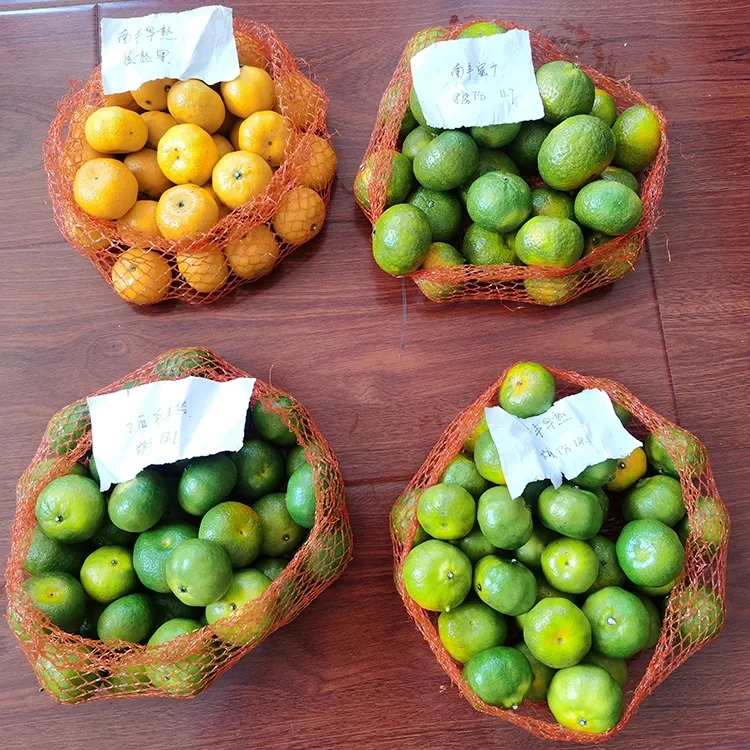 Friss méz mandarin