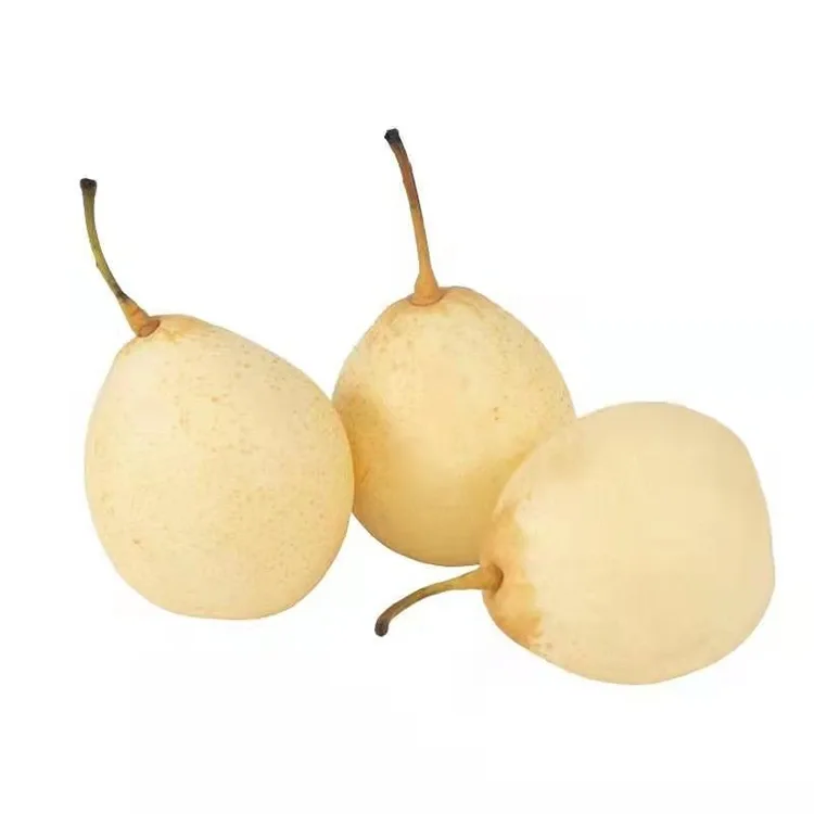 Frissen betakarított Ya Körte