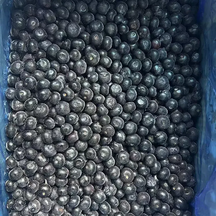 Fagyasztott áfonya Premium IQF áfonya