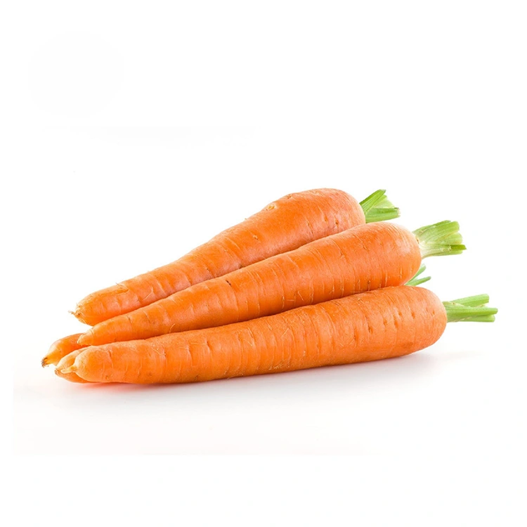 Hand-Selected Fresh Carrots