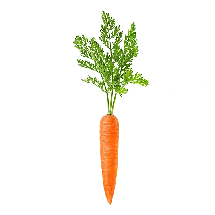 Hand-Selected Fresh Carrots