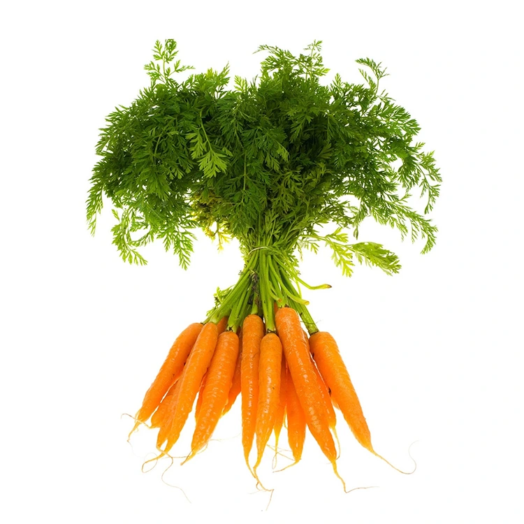 Hand-Selected Fresh Carrots