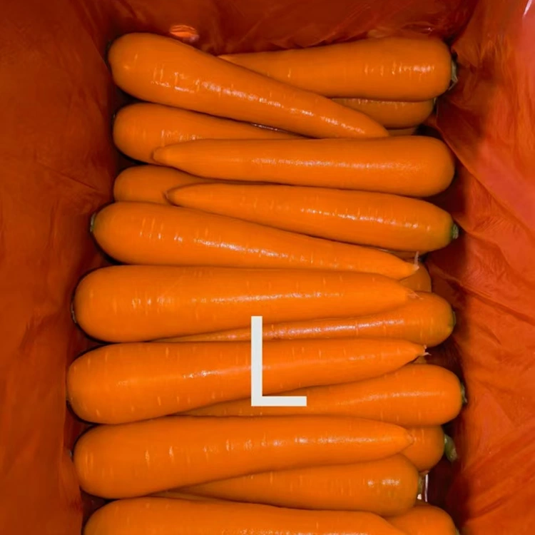 Hand-Selected Fresh Carrots