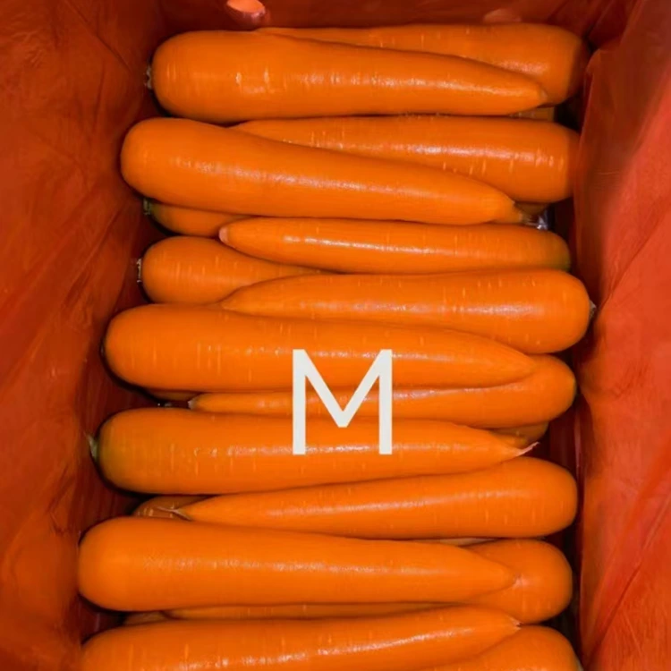 Hand-Selected Fresh Carrots