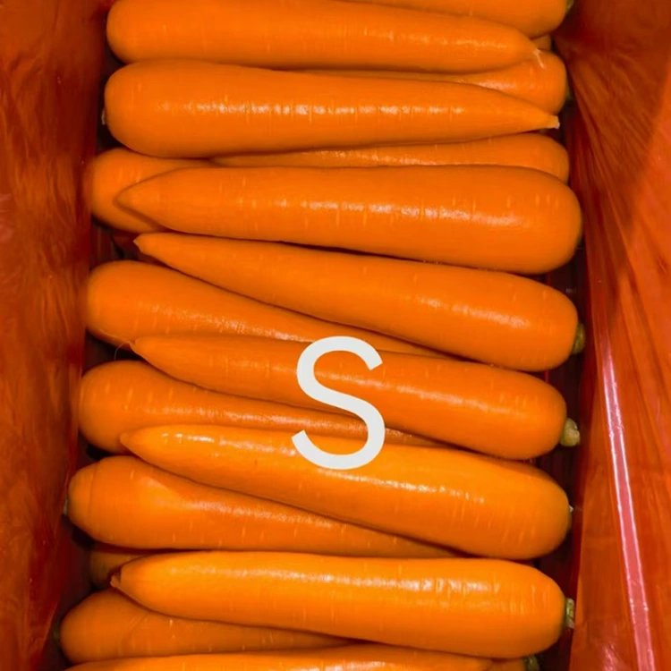 Hand-Selected Fresh Carrots