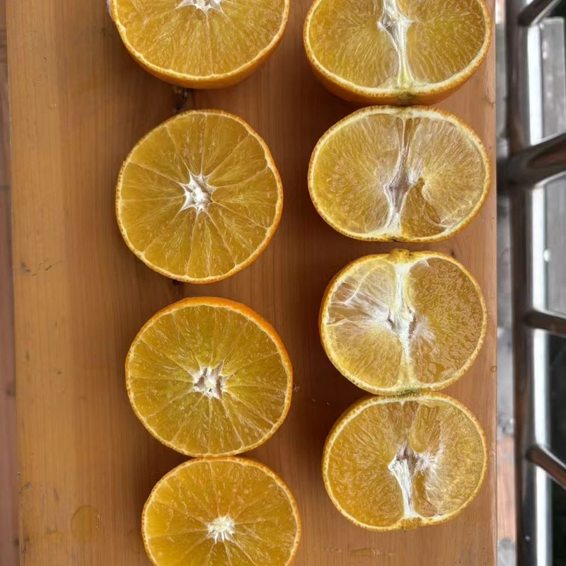 Premium Fresh Aiyuan Jelly Orange Thin Peel